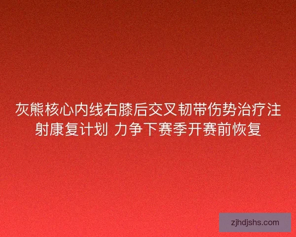 灰熊核心内线右膝后交叉韧带伤势治疗注射康复计划 力争下赛季开赛前恢复